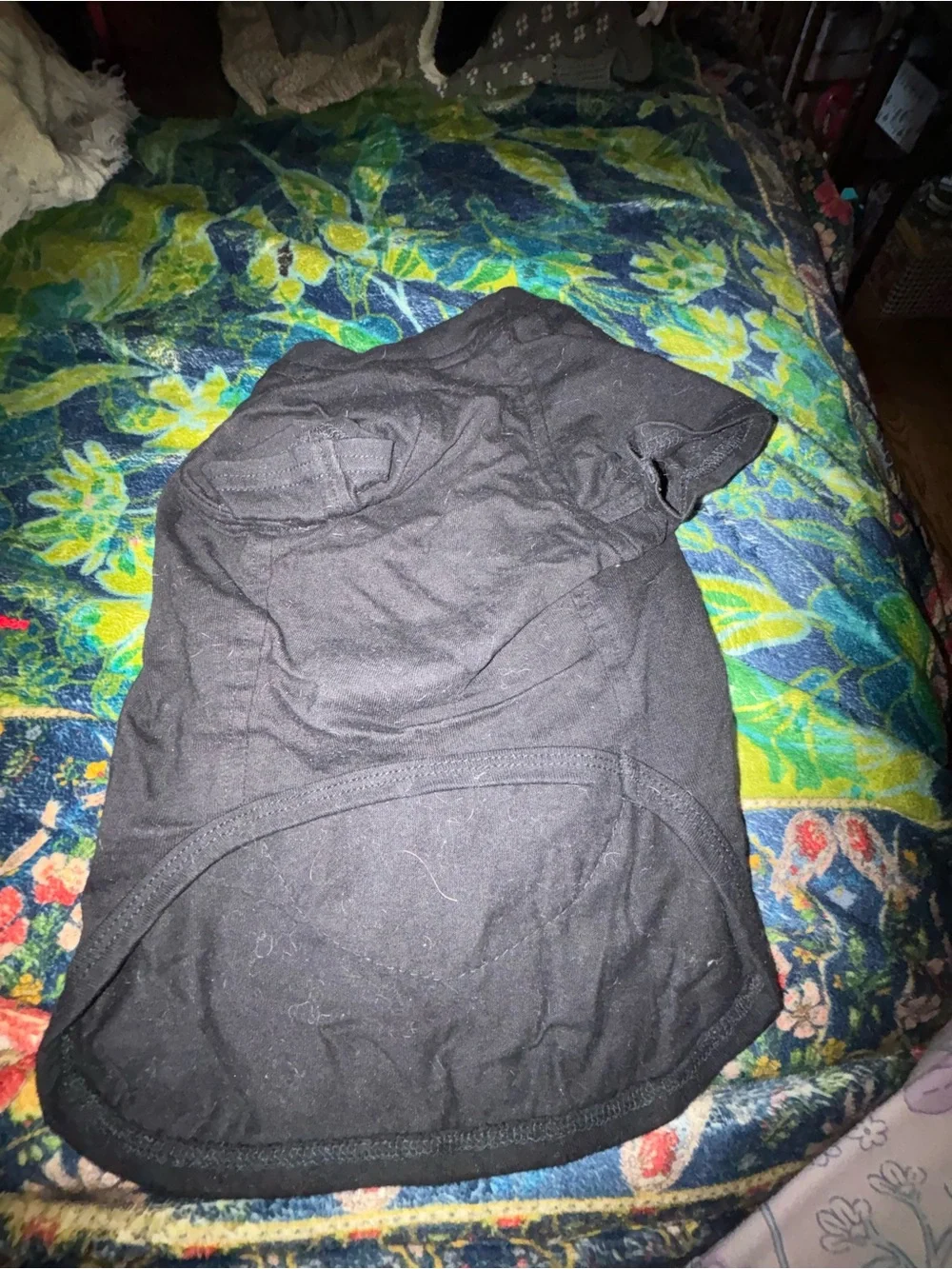 DESIGNER STYLE DOG TOPS. GREAT PRICE